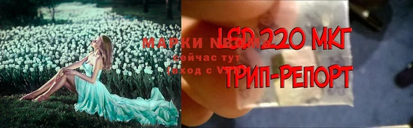спиды Инта