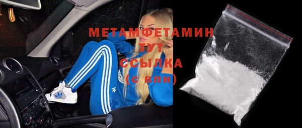 гидра Каменка