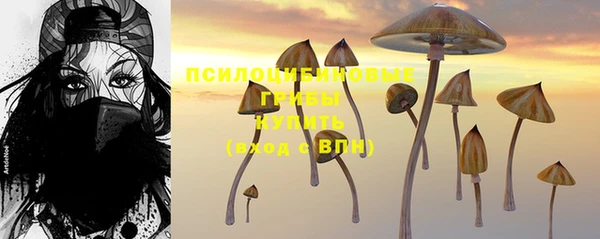 ALPHA PVP Инсар