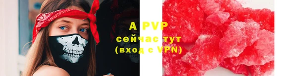 ECSTASY Иннополис