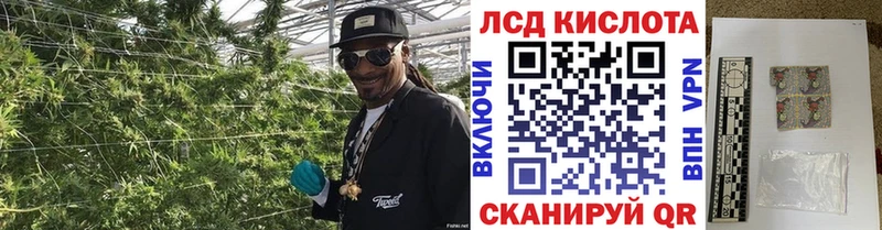 Купить закладки  Шиханы  Наркотические марки 1500мкг 